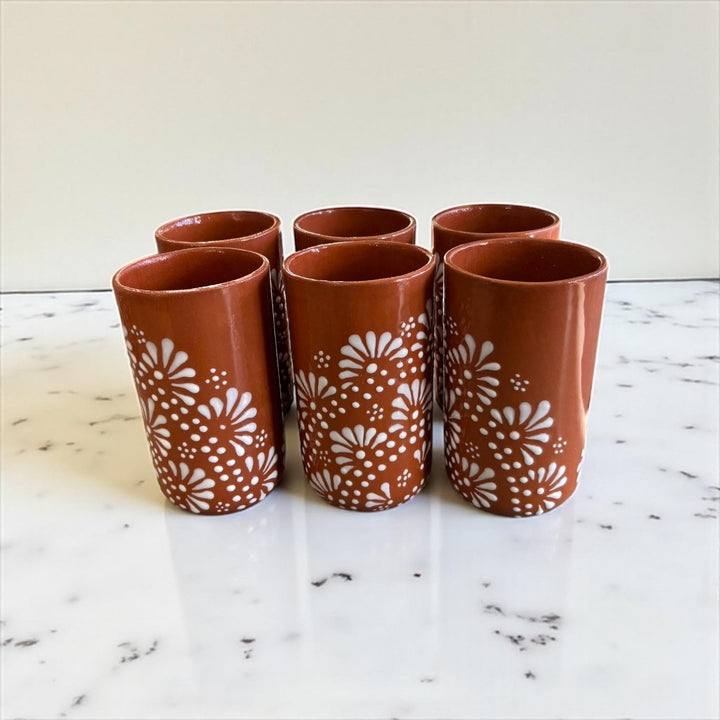 Beautiful Hand Painted Rustic Terracotta Brown & White Talavera Pitcher and 6 Cups Set