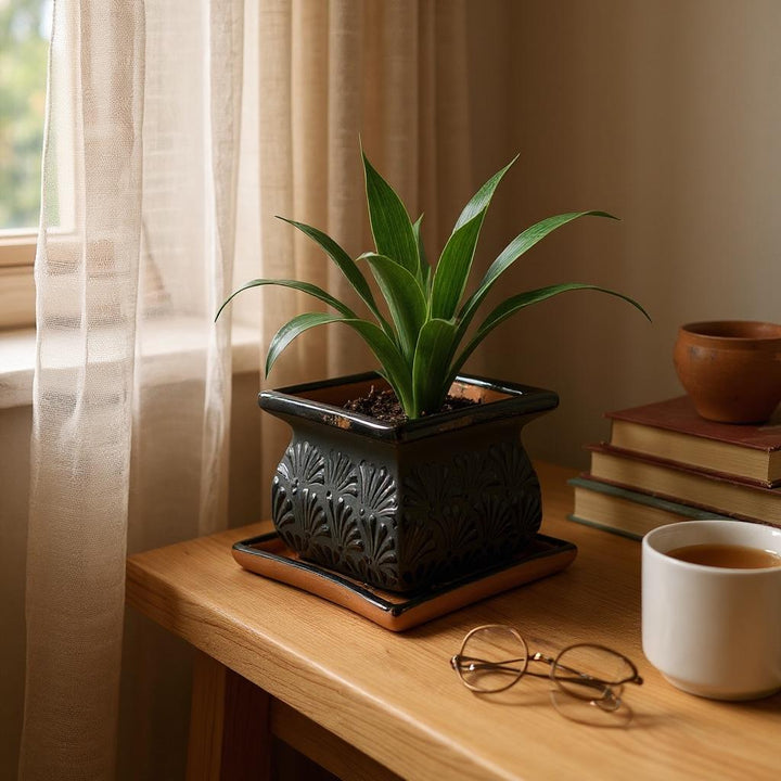 Hand Painted Mexican Black Clay and Black Square Planter Pot on Saucer (Cielito Lindo Inspired), Tabletop Medium